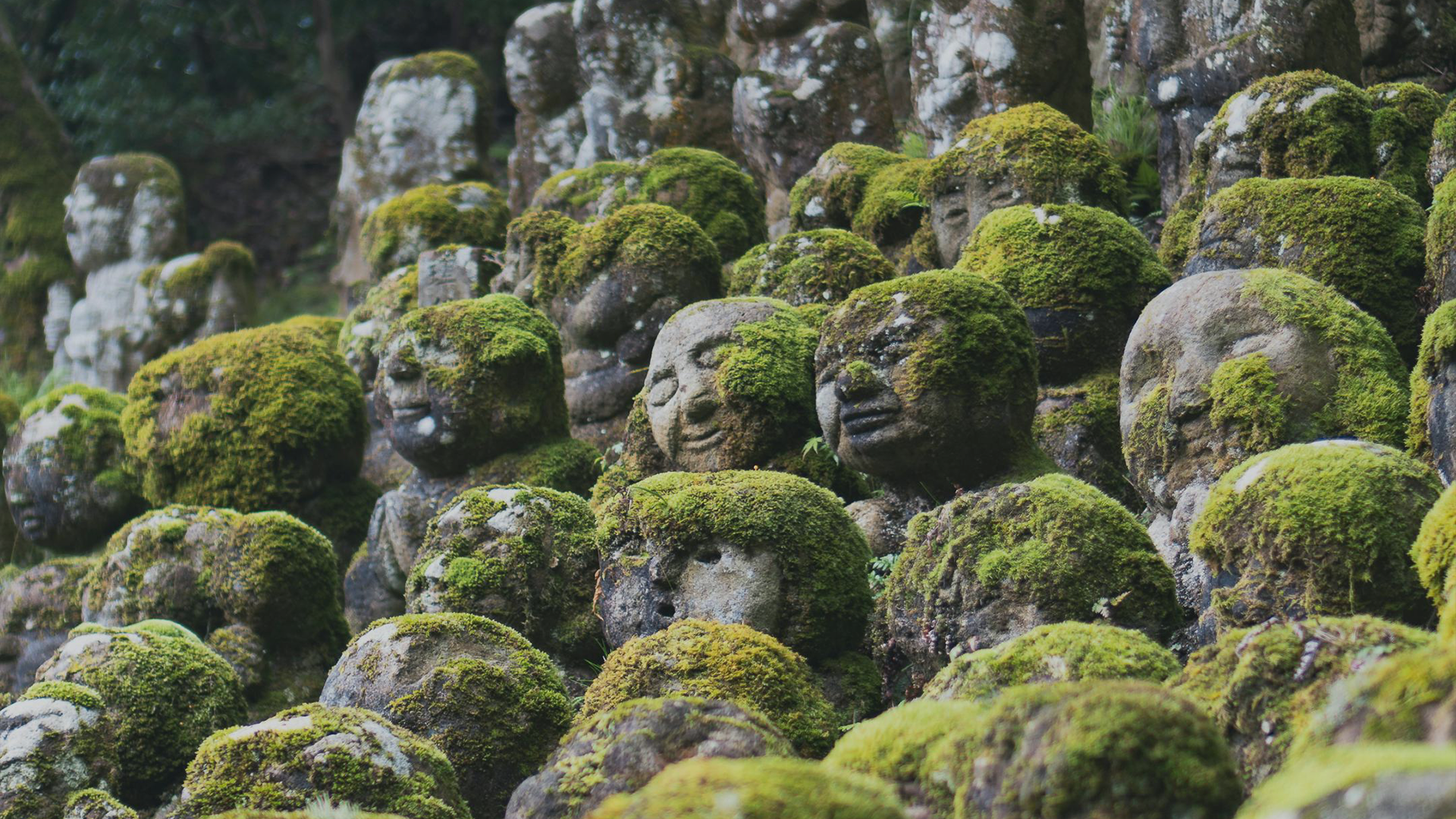 l'art du détachement