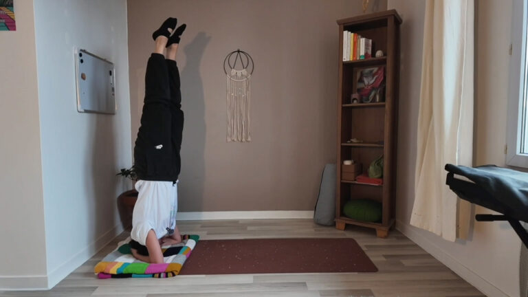 DECOUVRIR SIRSASANA – LE POIRIER