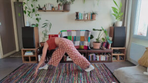 Cours de yoga sur zoom